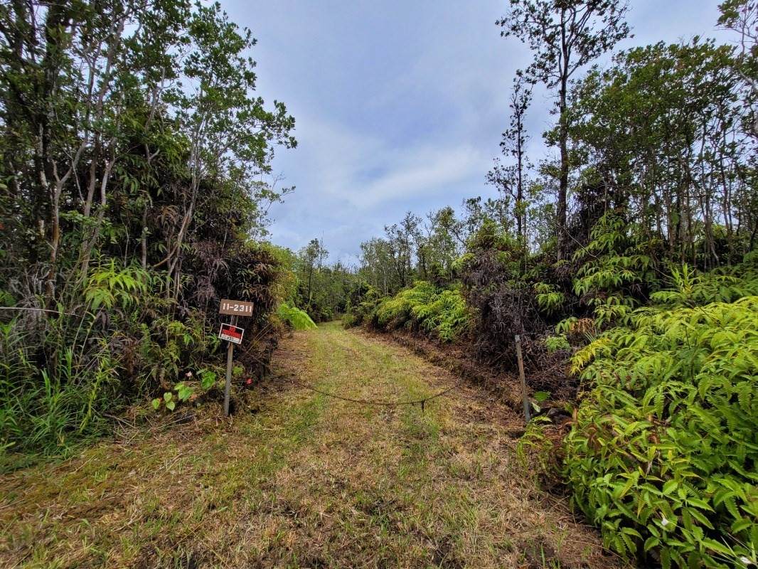 11-2311 Makoa Rd - Photo 1