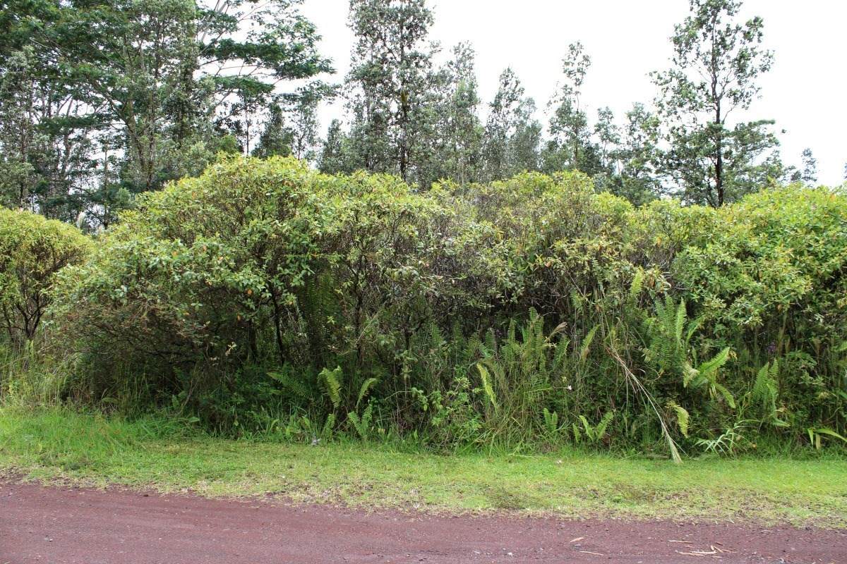 Pukalani Dr - Photo 1