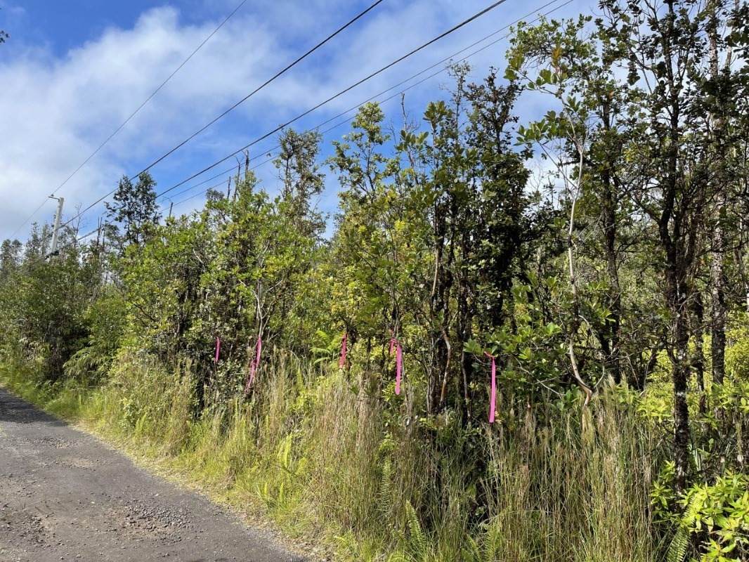 Uau Rd (Road 5) - Photo 1