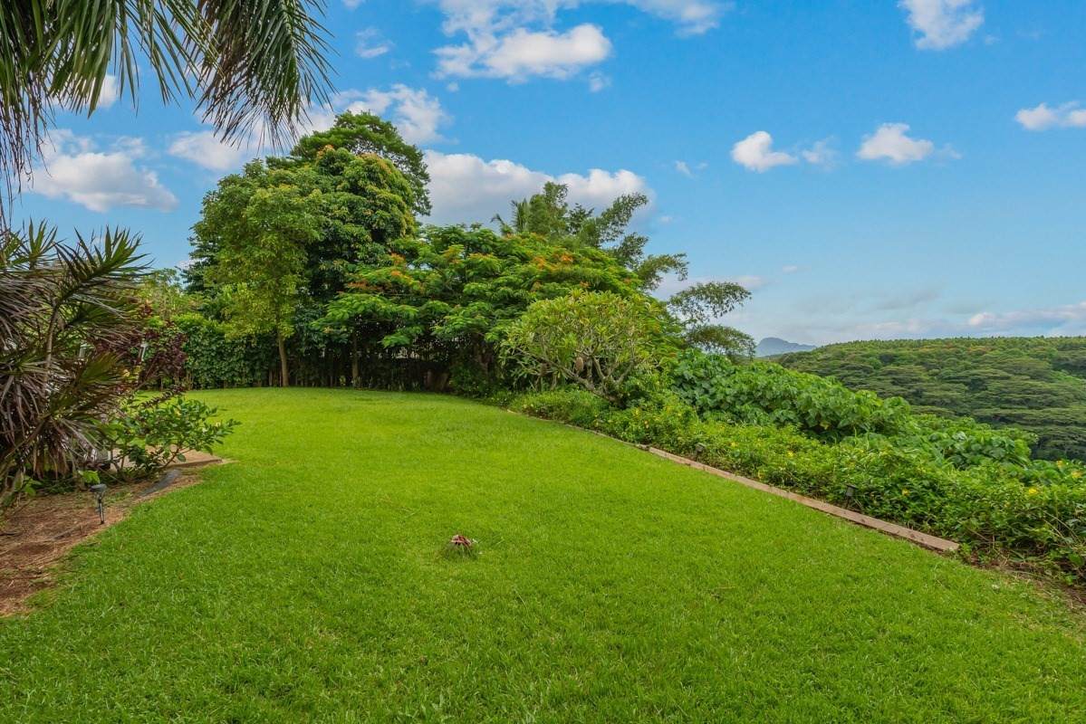5539 Kuamoo Rd - Photo 1