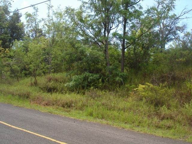Keaka Pkwy - Photo 1