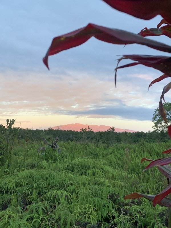 11-2038 Makoa Rd - Photo 1