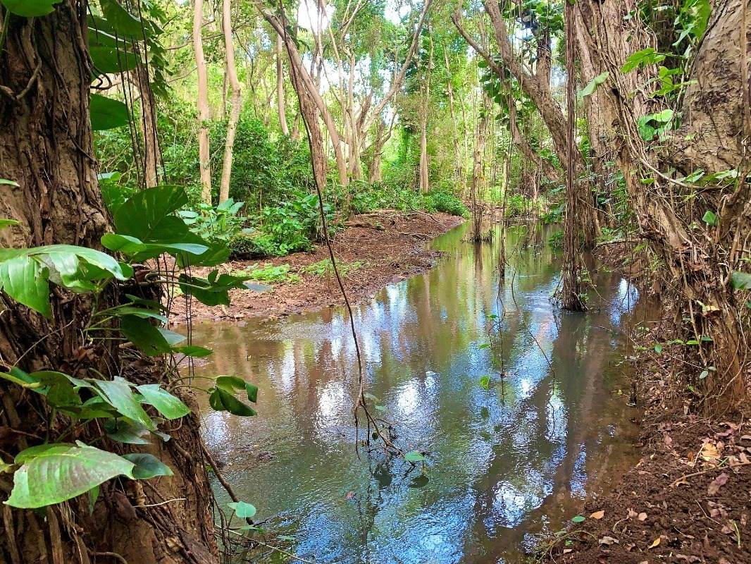 Kahumoku Rd - Photo 1
