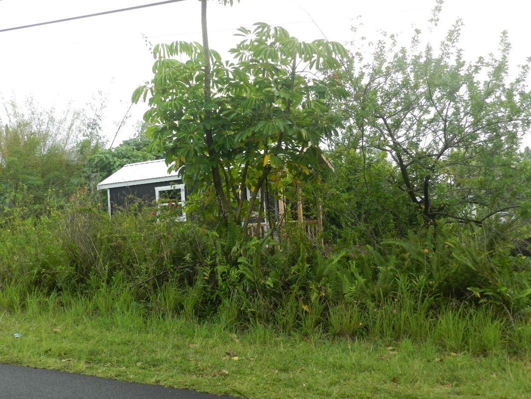 Mapuana Ave - Photo 1