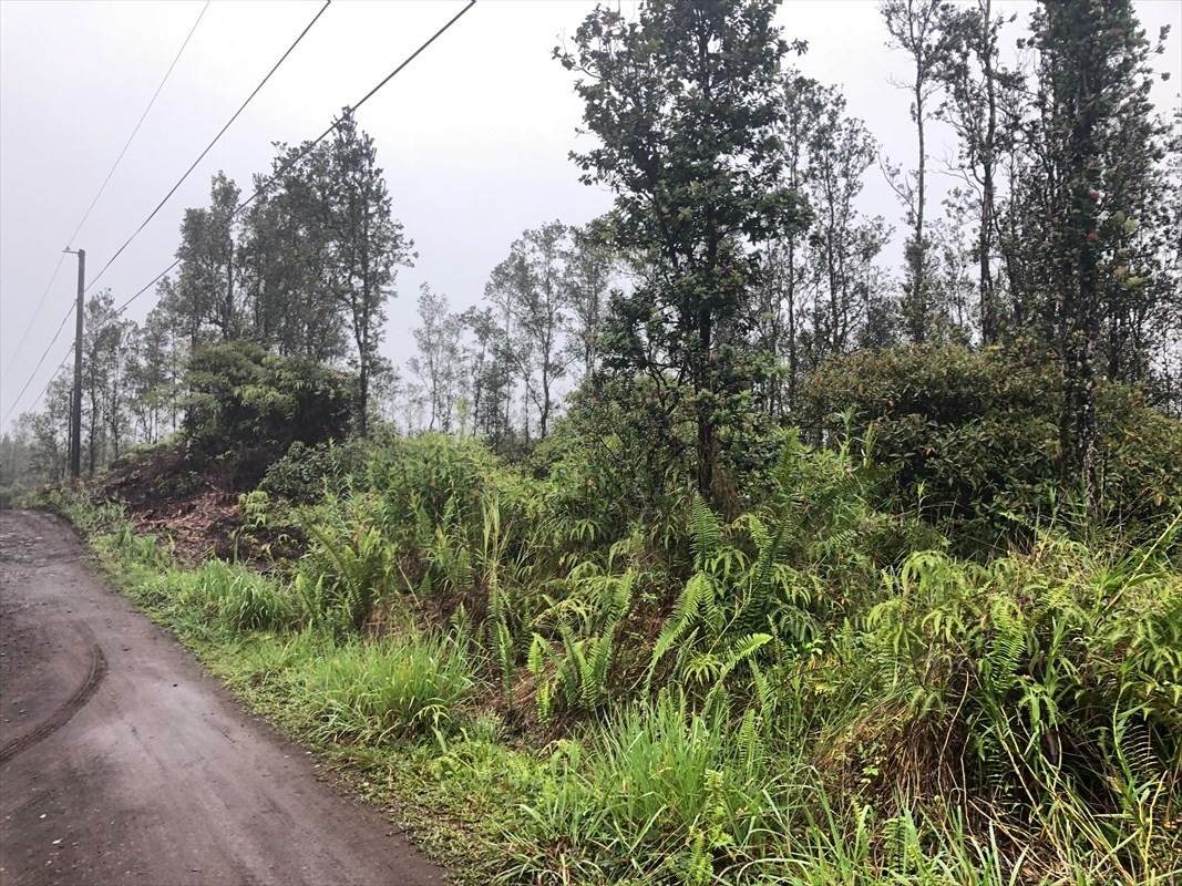 Ooaa Rd (Road 6) - Photo 1