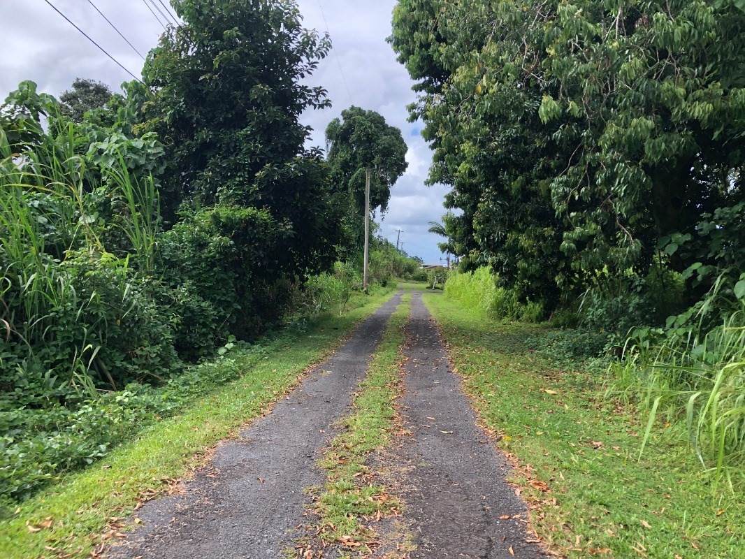 125 Palai St - Photo 1