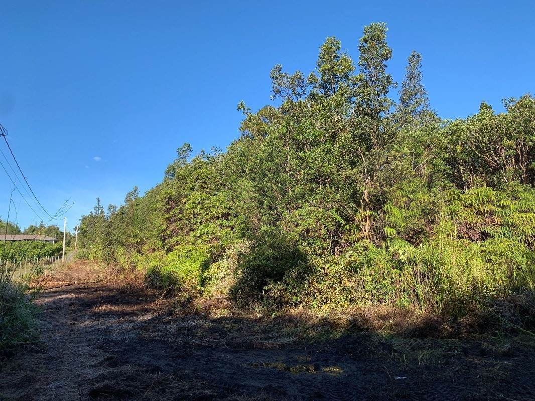 16-1534 Uhini Ana Rd (Road 1) - Photo 1