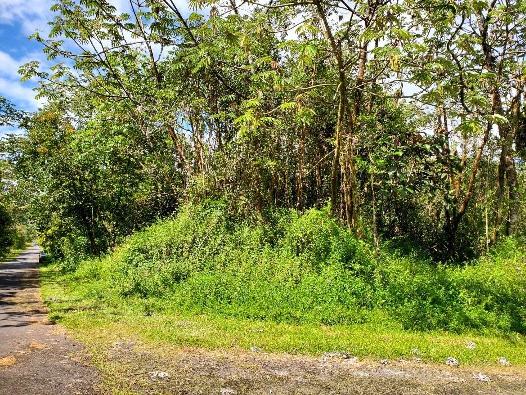 Kahoolawe Rd - Photo 1