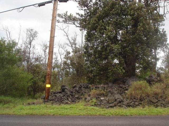 King Kamehameha Blvd - Photo 1