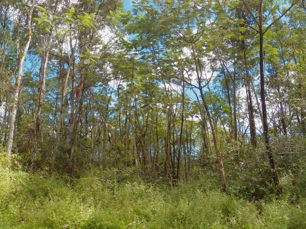 Alii Rd - Photo 1