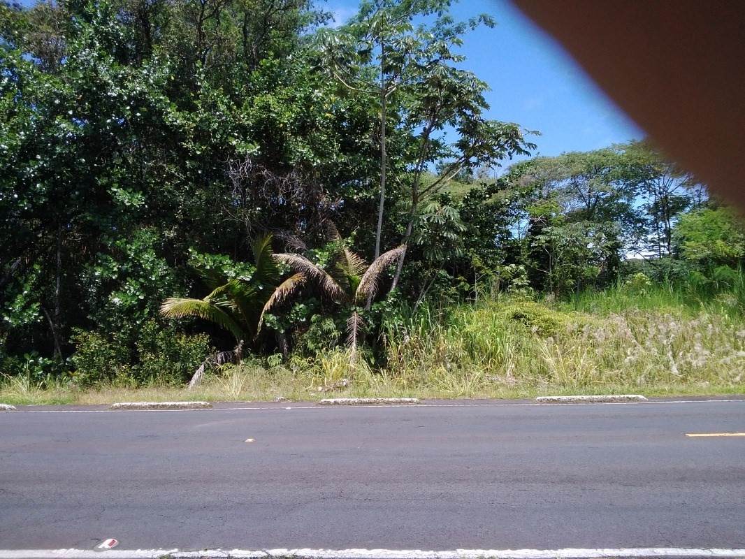 Kahakai Blvd - Photo 1