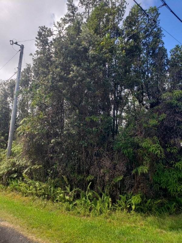 Kahoolawe Rd - Photo 1