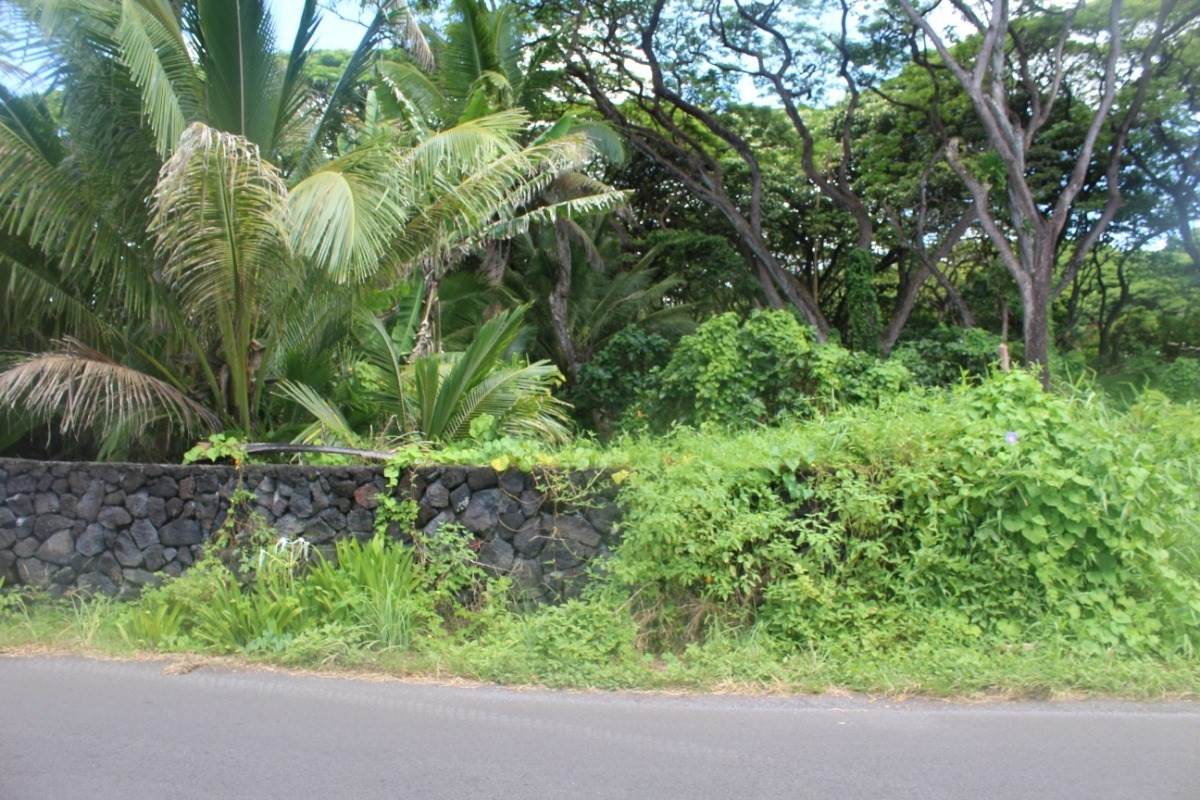 Kapoho Kalapana Rd - Photo 1