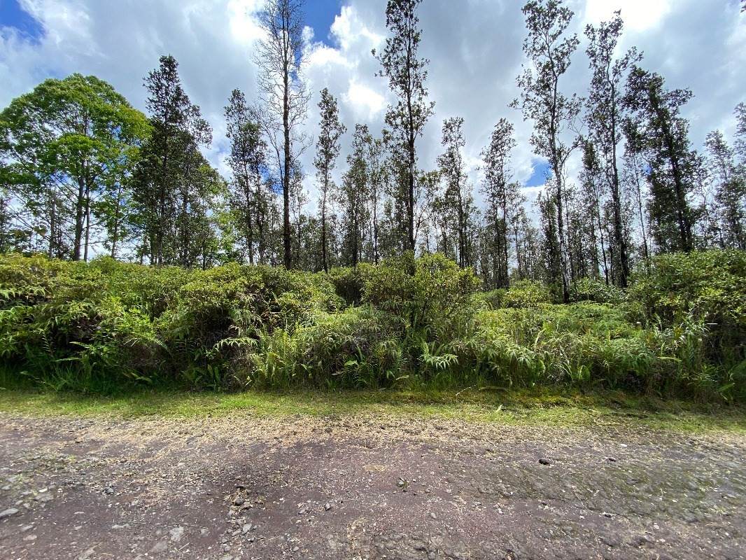 Opeapea Rd (Road 7) - Photo 1