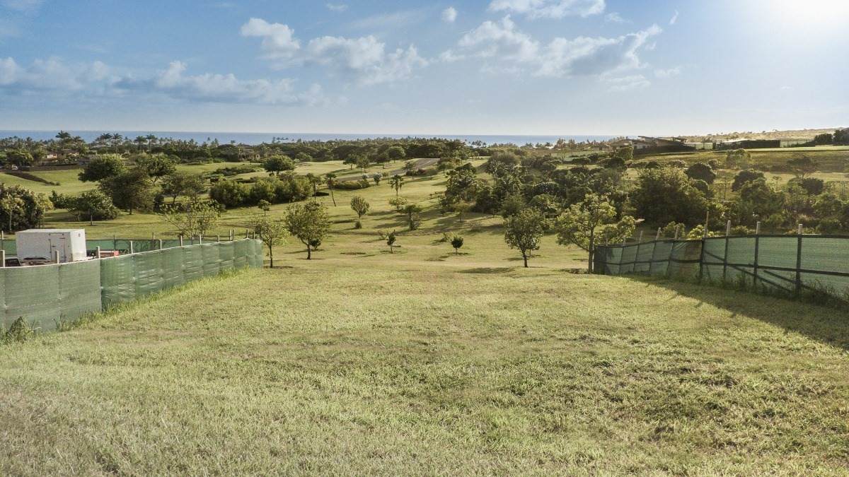 42 Ka Opua Place - Photo 1