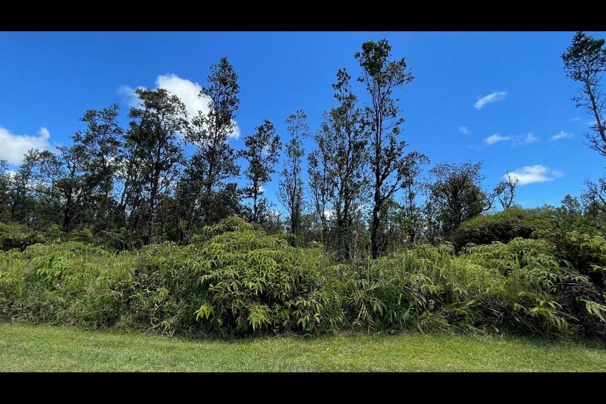 Pikake St - Photo 1