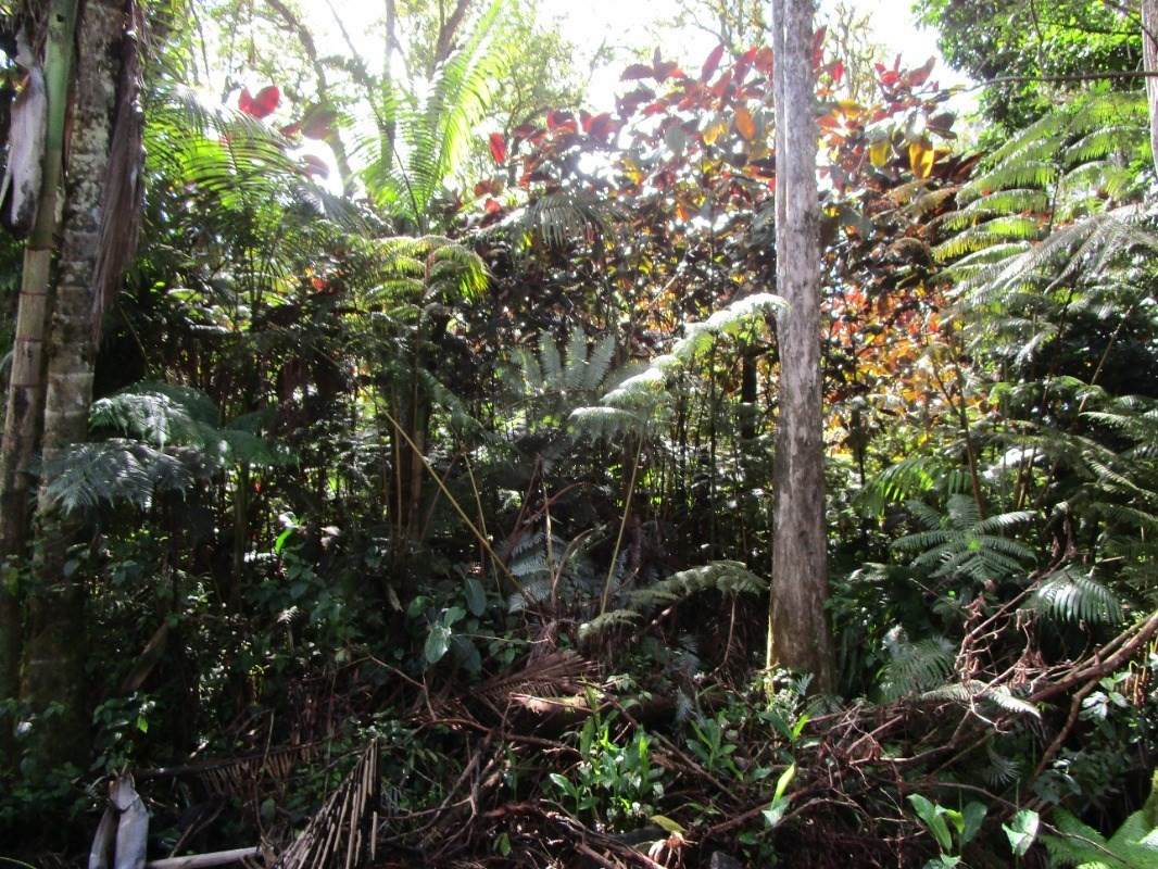 Enos Road - Photo 1