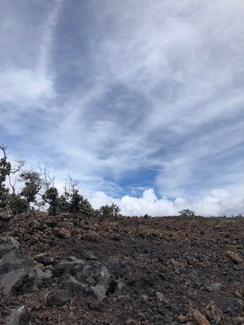 92-2933 Outrigger Dr - Photo 1
