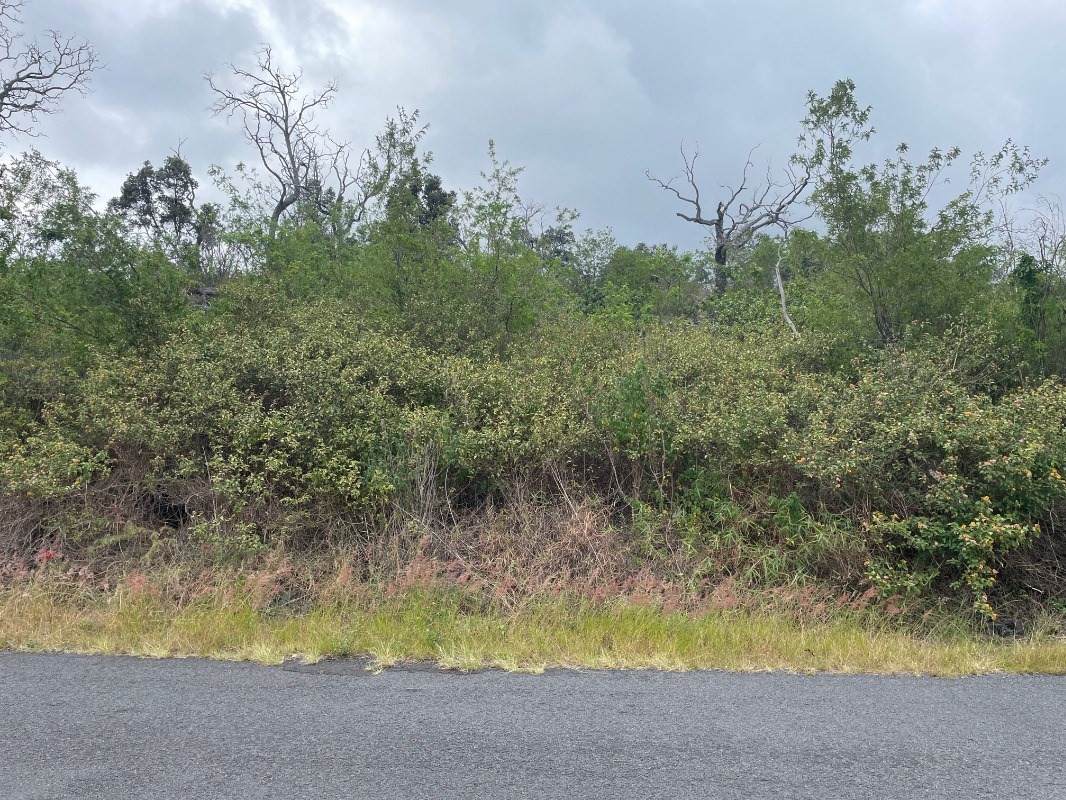 Keaka Pkwy - Photo 1
