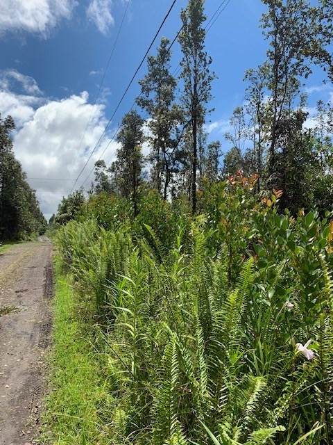 Ao Rd (Road 2) - Photo 1