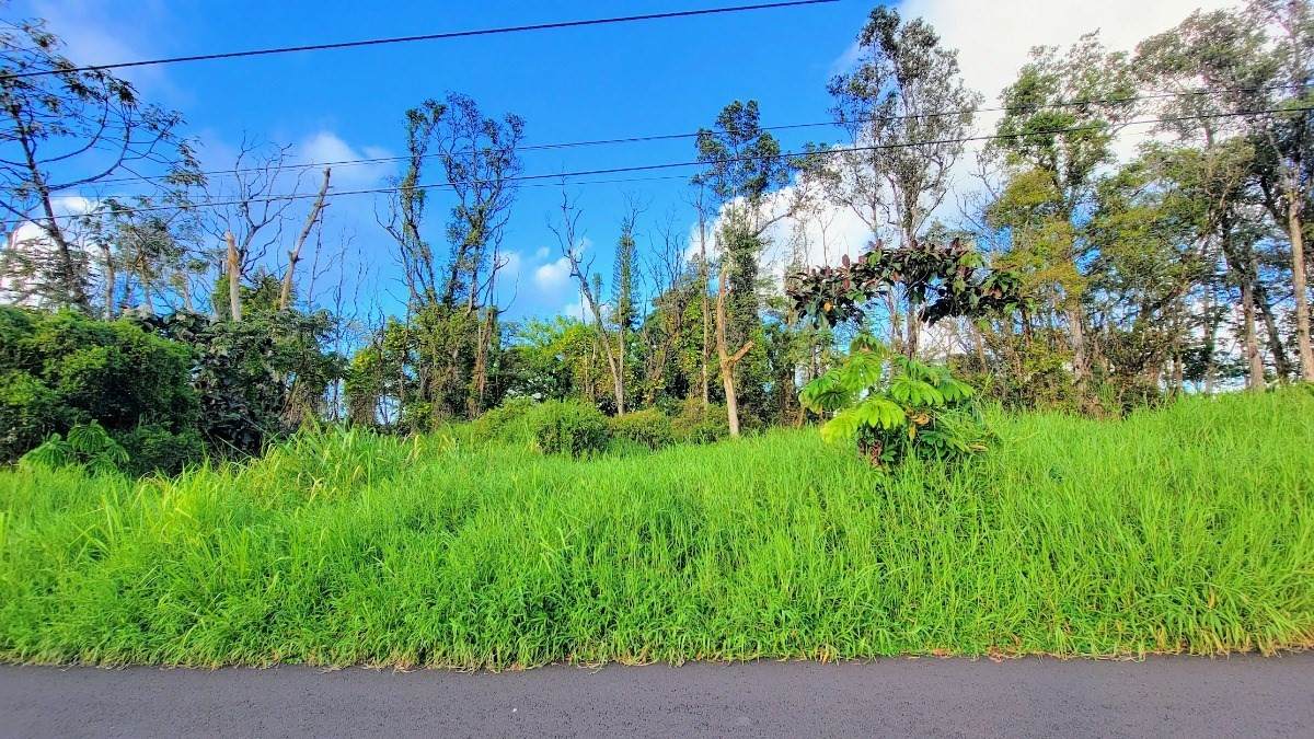 Emerald Dr - Photo 1