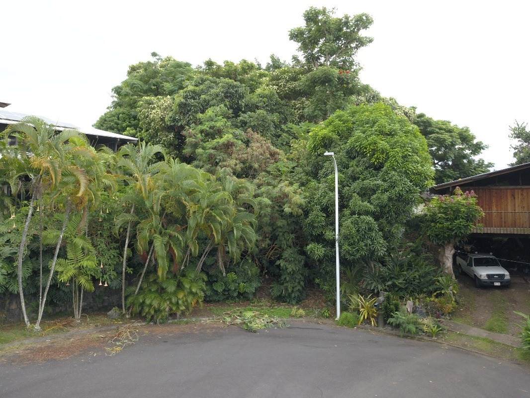 75-5785 Lilia Pl - Photo 1