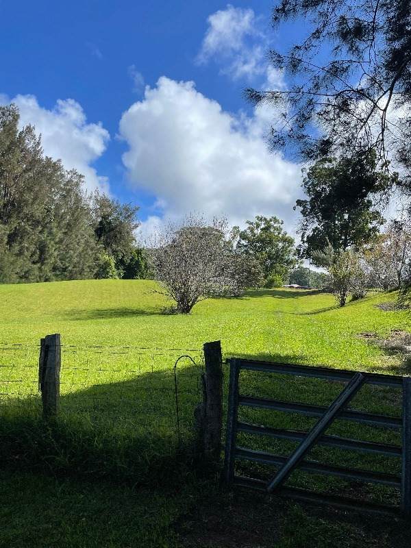 46-3761 Hawaii Belt Road - Photo 1
