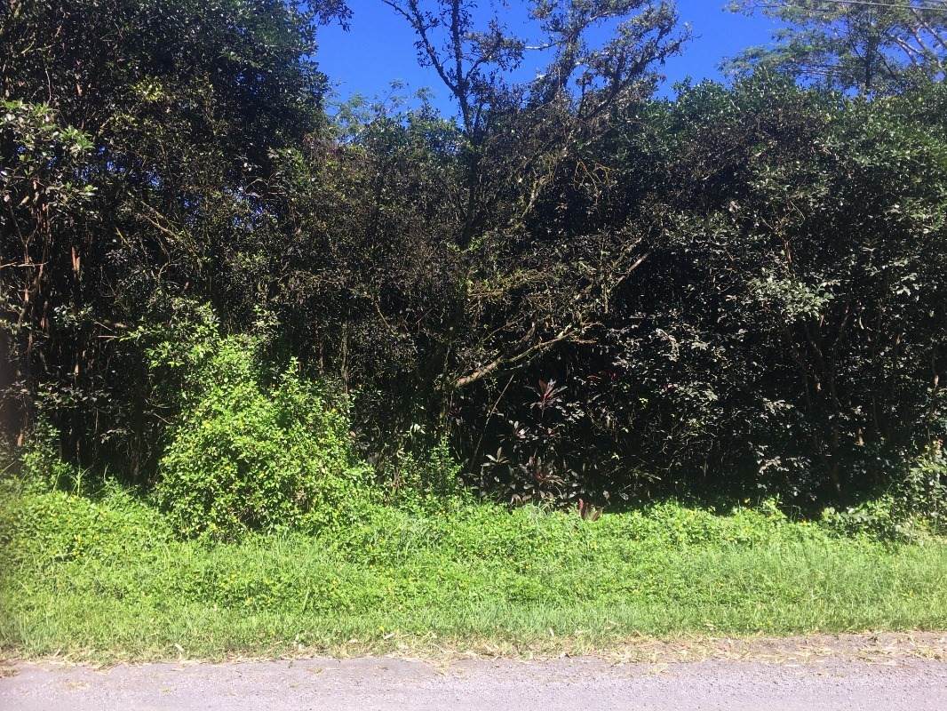 21ST AVE (MIKANA) - Photo 1