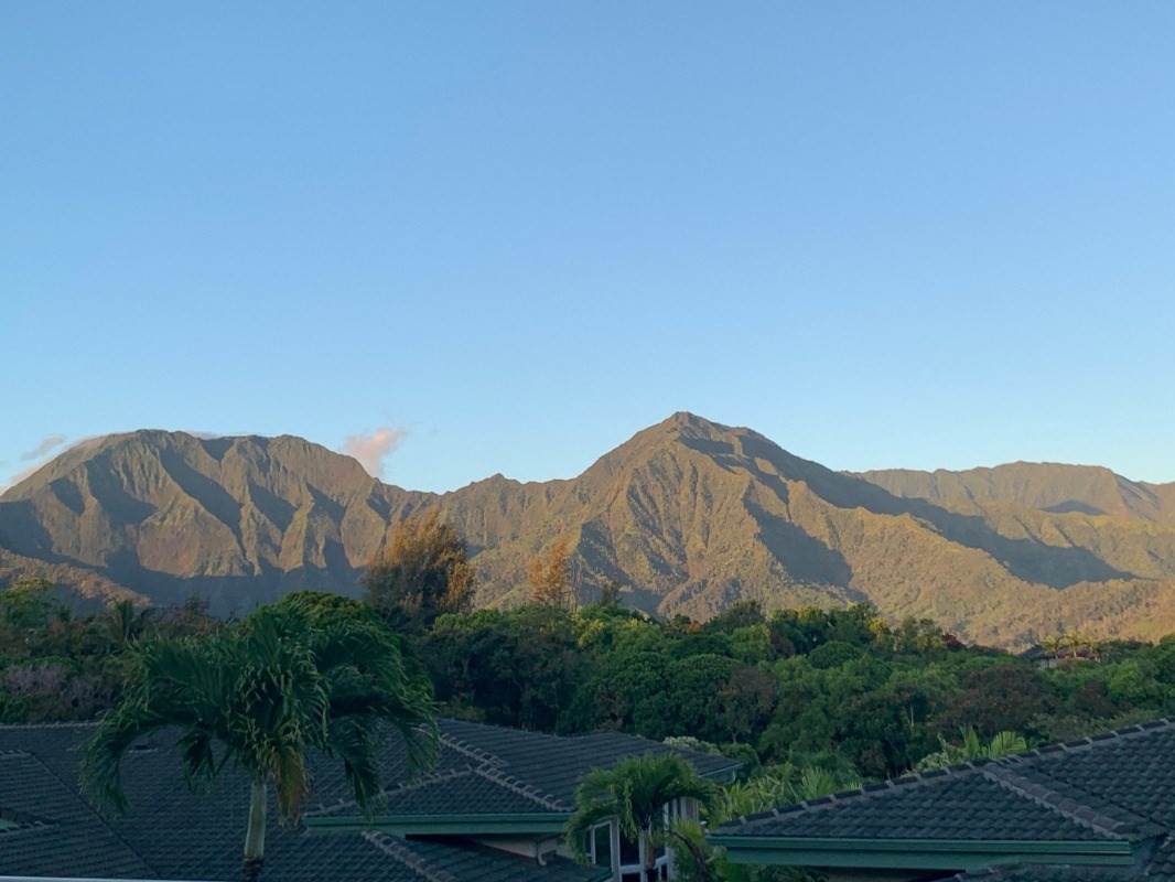4141 Lei O Papa Rd - Photo 1