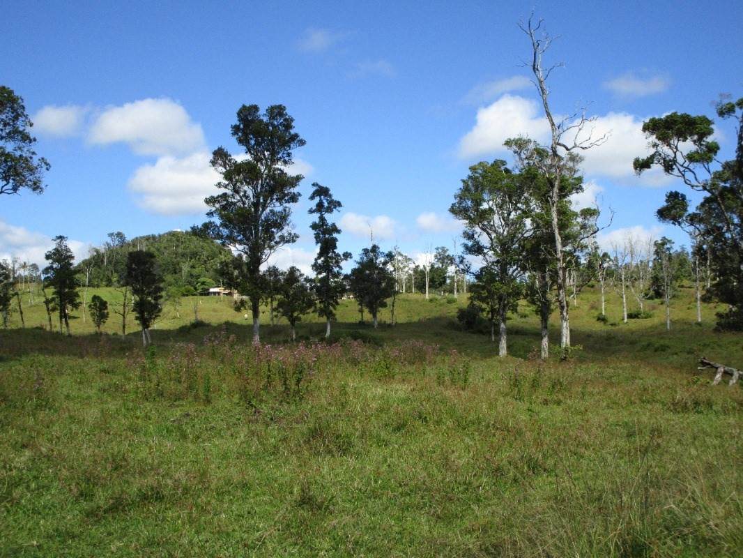 https://bt-photos.global.ssl.fastly.net/hawaii/orig_boomver_1_655521-2.jpg