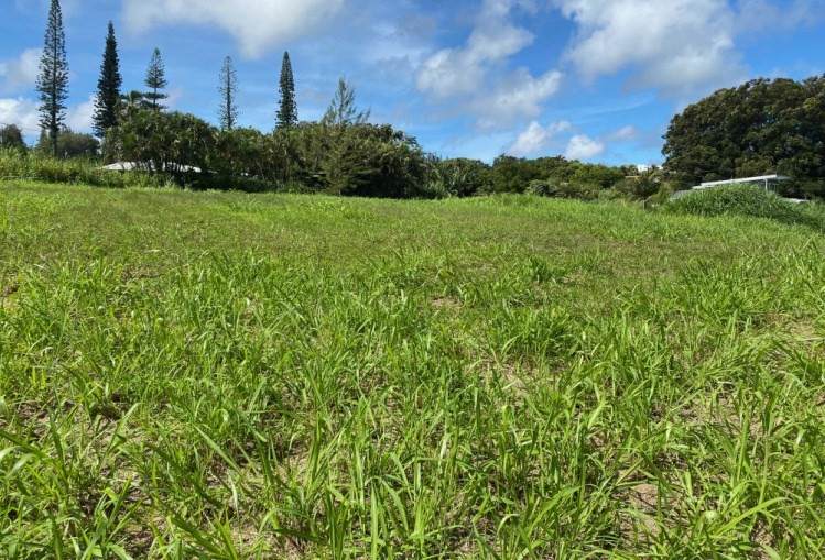 98 Kaupakalua Rd - Photo 1