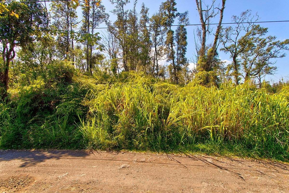 38TH AVE - Photo 1