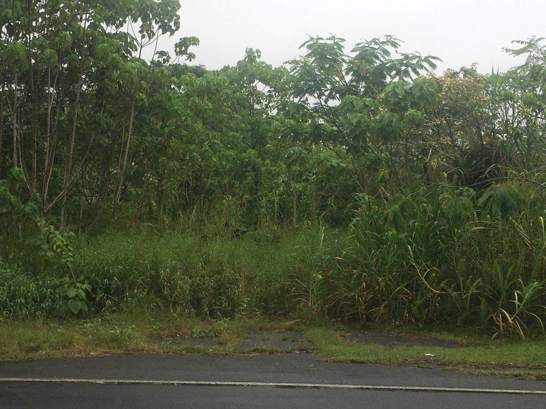 Keaau-Pahoa Rd - Photo 1