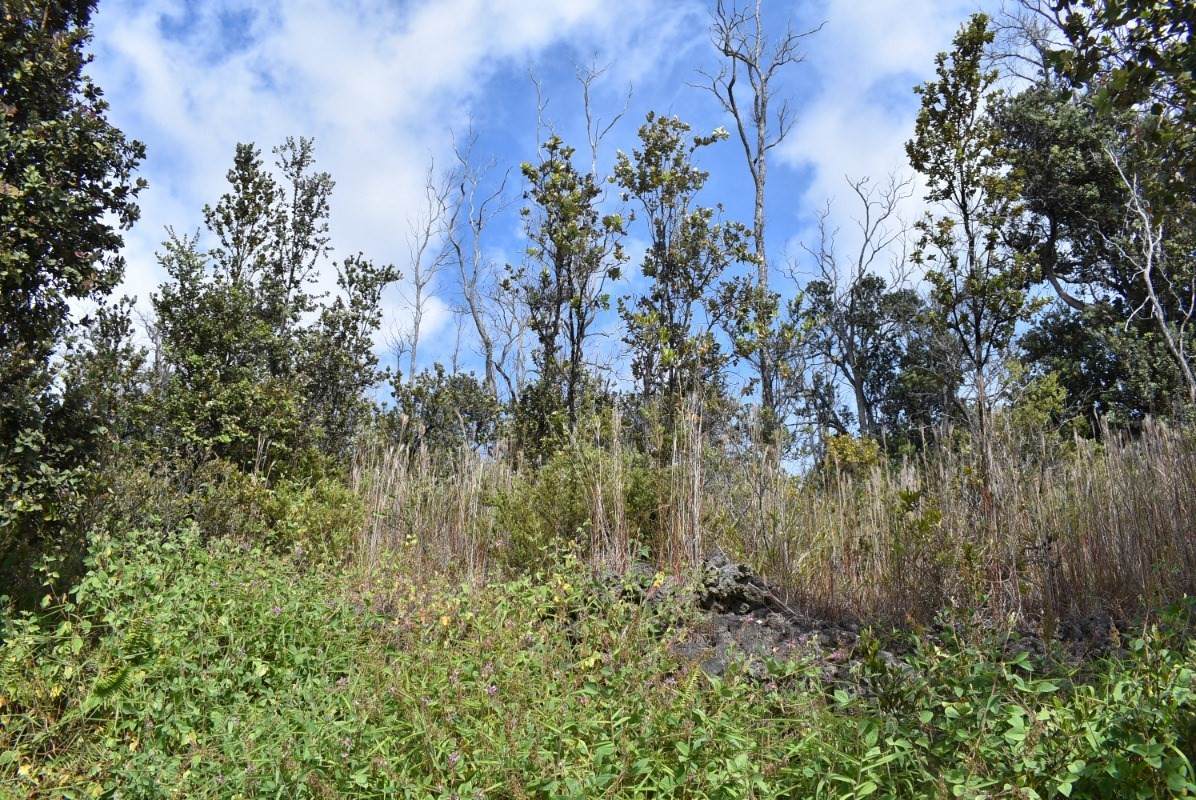Reef Pkwy - Photo 1