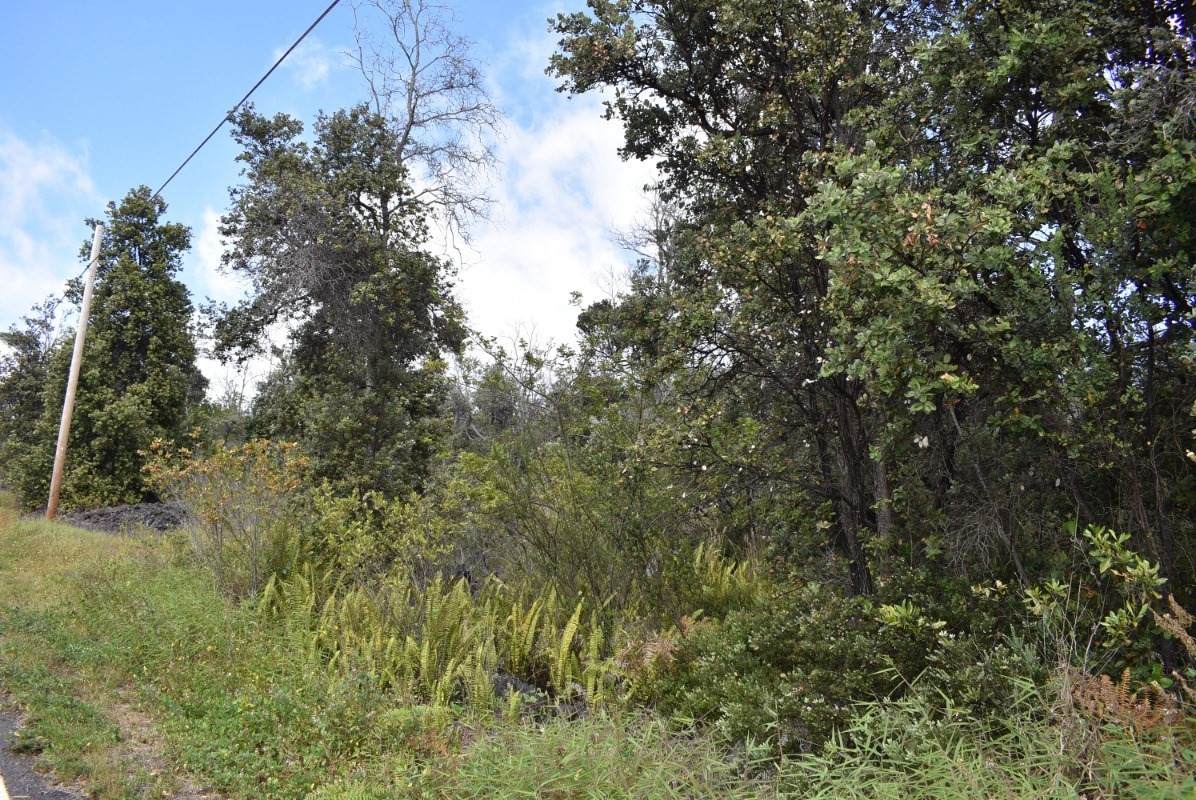 Reef Pkwy - Photo 1