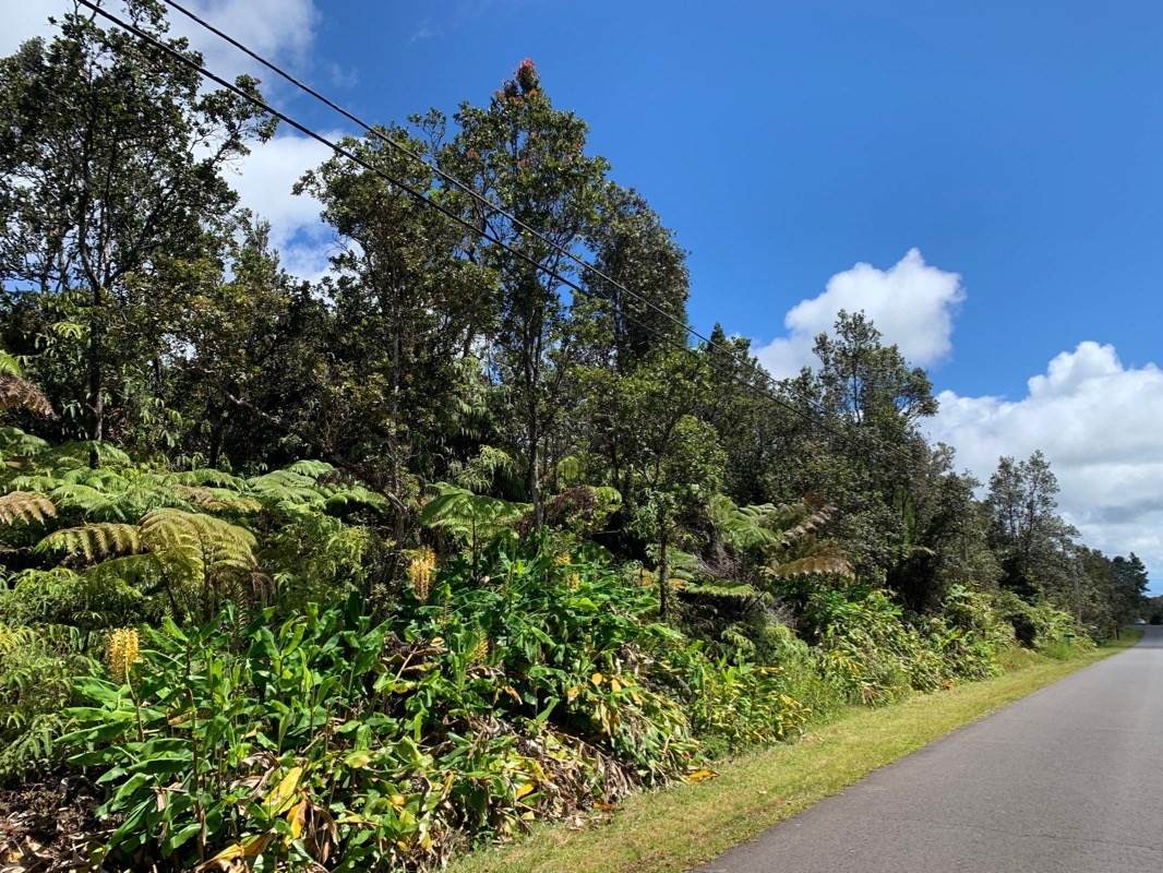 Nahelenani St - Photo 1