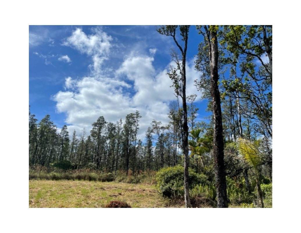 16-2194 Hopue Rd (Road 3) - Photo 1