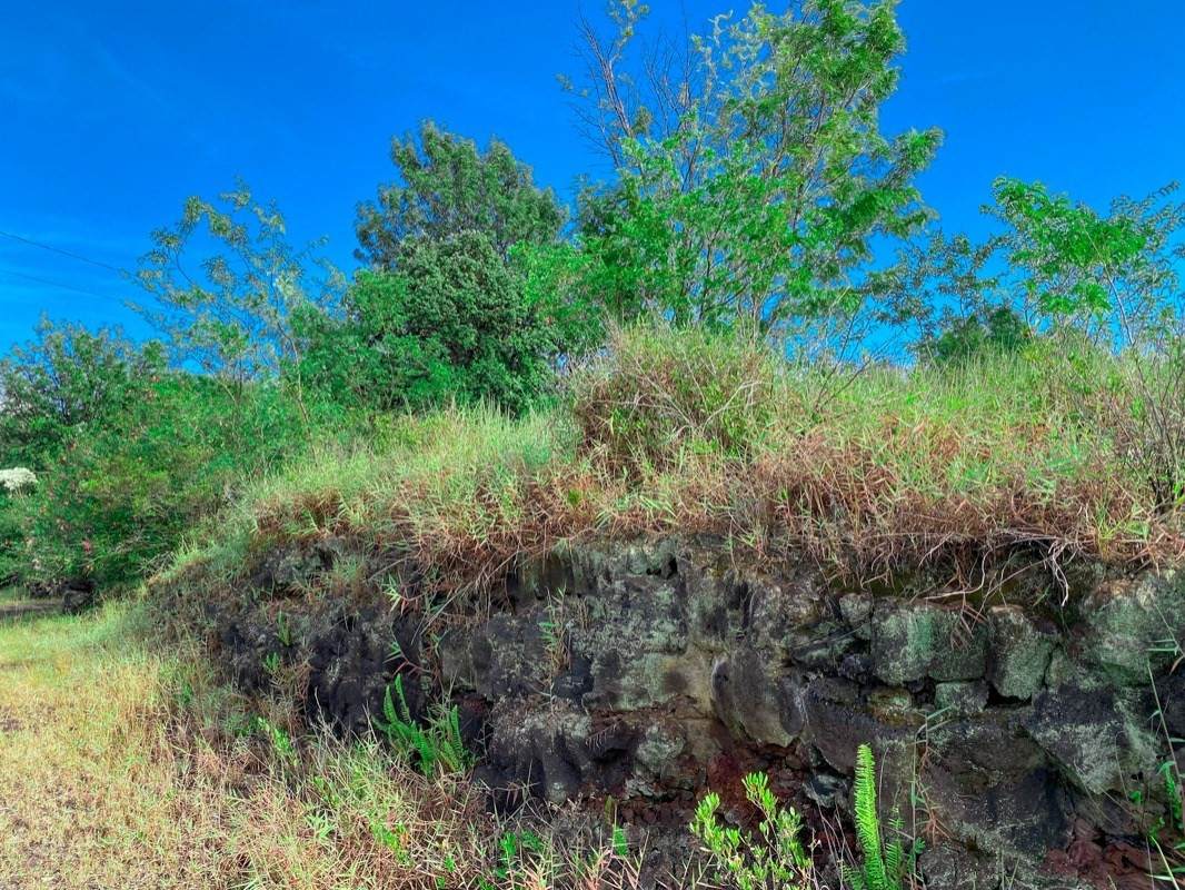 Tiki Ln - Photo 1