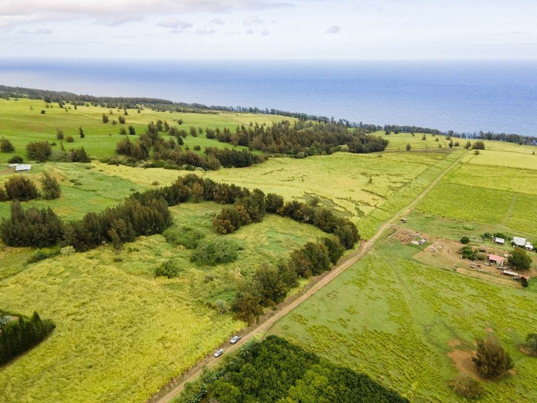 Lower Kalopa Rd - Photo 1