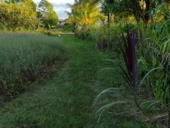 12-7056 Kehauopuna St - Photo 1
