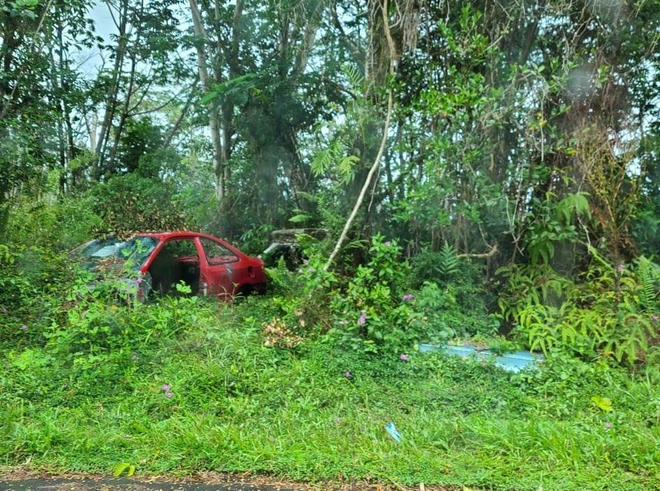 Forest Rd - Photo 1