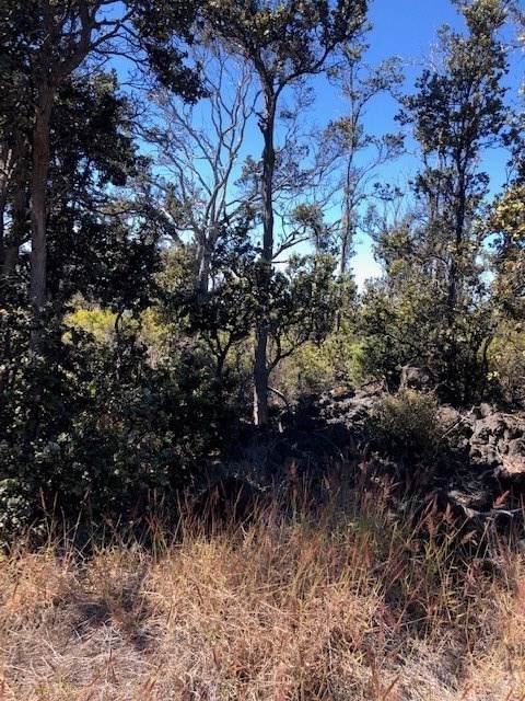 Plumeria Ln - Photo 1