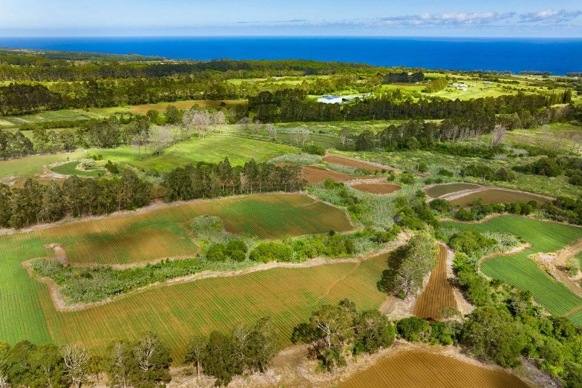 28-583 Kaupakuea Homestead Rd - Photo 1