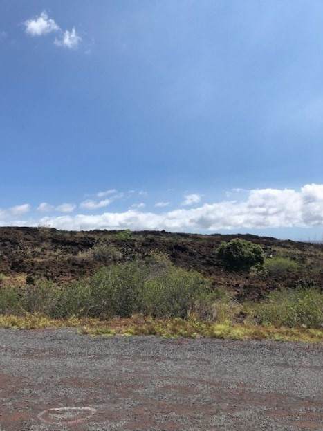 Kahili Blvd - Photo 1