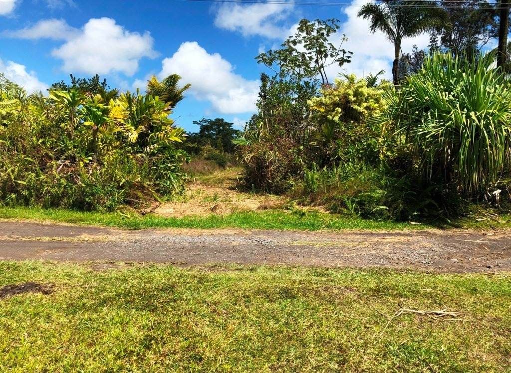 Opeapea Rd (Road 7) - Photo 1