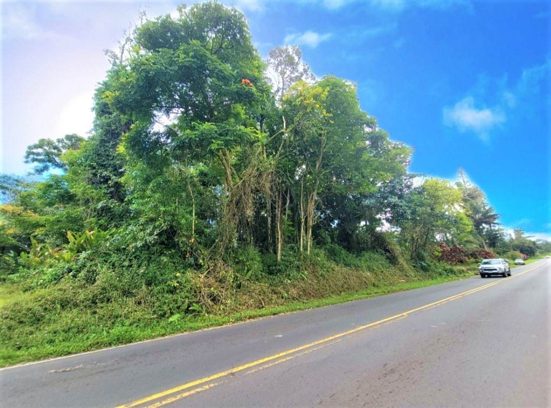 Nanawale Blvd - Photo 1