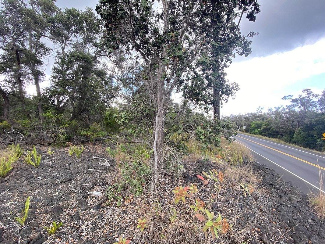 92-8782 Leilani Pkwy - Photo 1