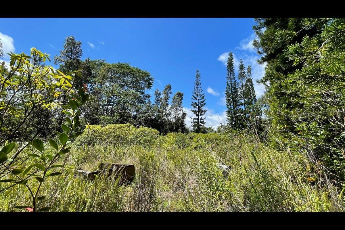 Ainaloa Dr - Photo 1