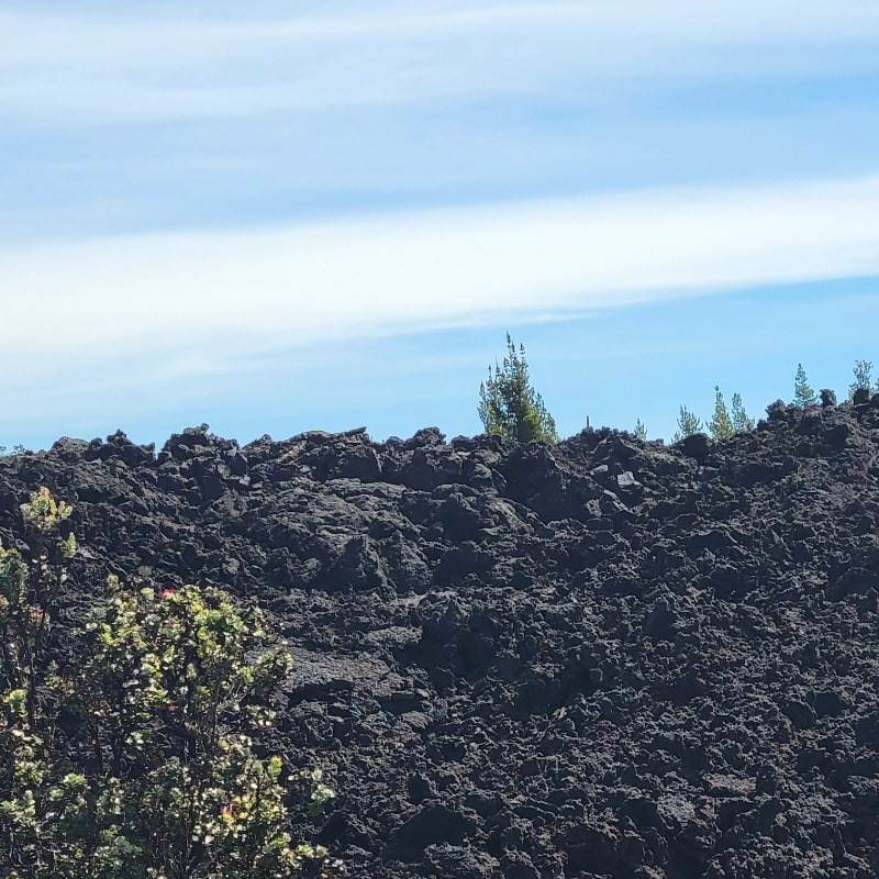 Pikake Ln - Photo 1