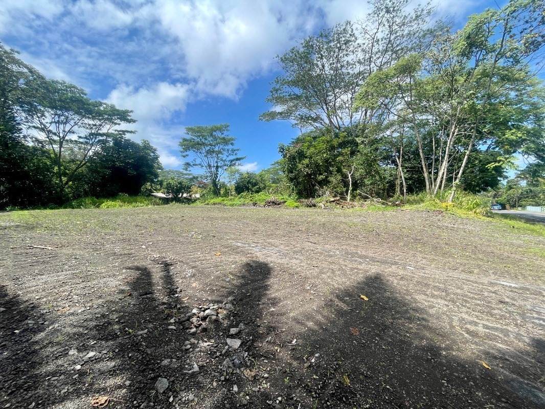 Kahakai Blvd - Photo 1